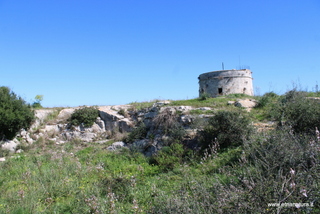 Torre Magnisi
